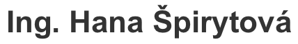 Primary Raster logo